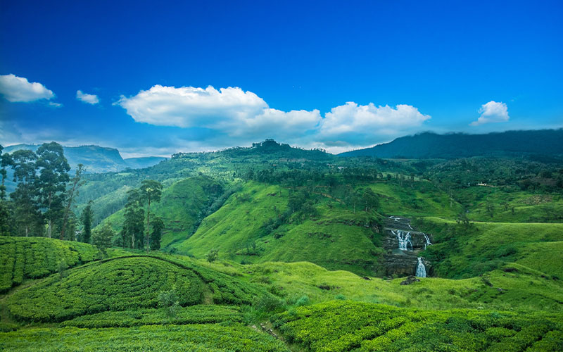 Knuckles / Nuwara Eliya via Tea Country