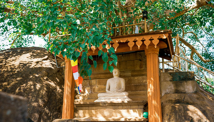 Colombo / Anuradhapura