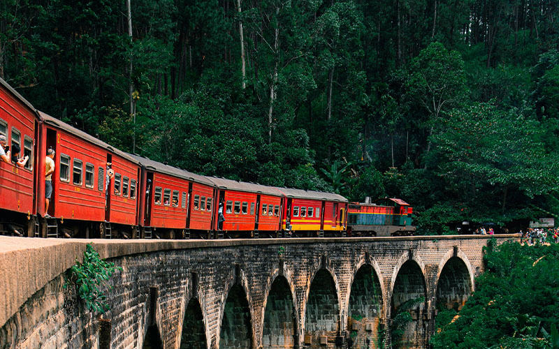 Nuwara Eliya / Ella by Train