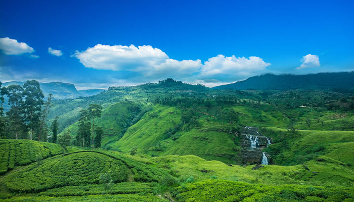 Kandy / Hatton (Tea Country Chic)