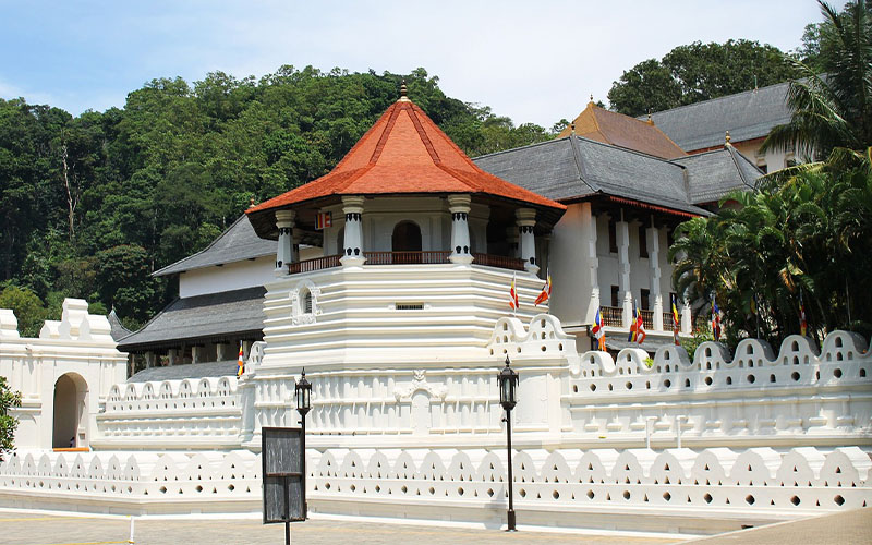 Knuckles / Kandy (Relaxation & Culture)