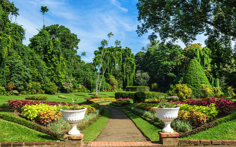Botanical Gardens & Tea by the Lake