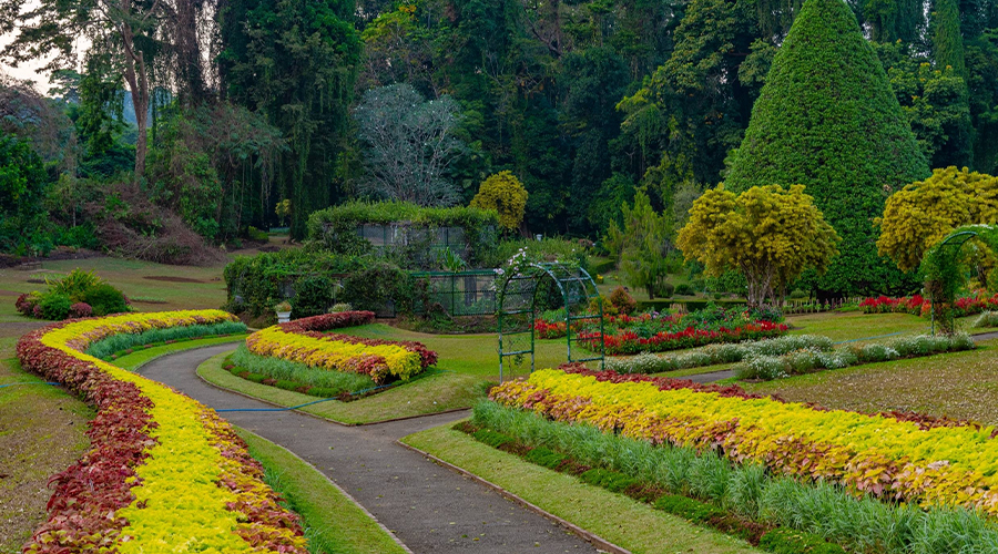 Botanical Gardens & Wellness Time