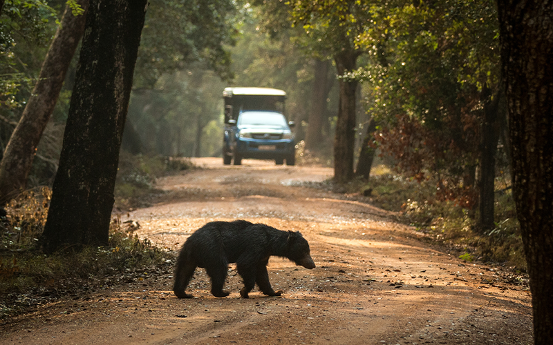 Colombo / Wilpattu National Park